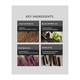 Raw Nature Body Wash - Malt Extracts & Pepper Vanilla 60 gm - Shower Gels & Body Wash