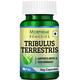Morpheme Remedies Tribulus Terrestris Caps - 500mg Extract 60's - Herbal Dietary Supplement