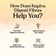 Kapiva Digesti Fibres Powder - Kesar Badam 150 gm - Digestive Care