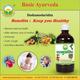 Basic Ayurveda Dashamoolarishta Liquid 450 ml - Speciality Medicines