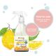 Koparo Clean Gadget Disinfectant Spray (Pack of 2 x 500 ml) - Lemon Zest - Others