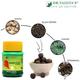 Dr. Vaidya's Gasoherb Pills (Pack of 2 x 30's) - Speciality Medicines