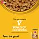 Pedigree Adult Chicken & Vegetables 1 kg - Petfood