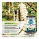 Nectar Valley Babool Phali Powder 250 gm - Health Products