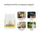 Kerala Ayurveda Yogaraja Gulgulu Tablet 50's - Speciality Medicines