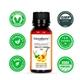 Greenberry Organics Organic Apricot Kernel Oil 50 ml - Essential Oils