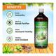Swadeshi Ayurved Triphala Aloevera Ras Juice 500 ml - Ayurvedic Juices
