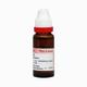 Dr. Reckeweg Apis Mell Ø Liquid 20 ml - Mother Tincture
