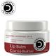 Dermistry Plumping Nourishing SPF 10 Lip Balm - Cocoa Butter 15 ml - Lip Balms