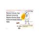 GEL MPS Tablet 8's - Ulcer/Reflux/Flatulence-Aaa