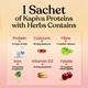 Kapiva Proteins with Herbs for Women - Assortment Pack (Pack of 12 x 35 gm) - Health Products