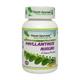 Planet Ayurveda Phyllanthus Niruri Capsules 60's - Diabetes Care (Ayush)