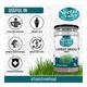 Nectar Valley Wheatgrass Powder 250 gm - Health Products