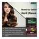 Indus Valley Bio Organic Herbal Henna Hair Colour Powder - Dark Brown 100 gm - Personal Care (Ayush)