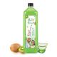 Axiom Alofrut Kiwi Aloevera Juice 150 ml - Ayurvedic Juices