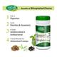 Swadeshi Ayurved Bilvaphaladi Churna 50 gm - Digestive Care