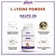 Petvit L-Lysine Powder for Cats 100 gm - Petfood