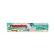 Pepsodent G Expert Protection Gum Care + Toothpaste 140 gm - Toothpaste