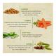 Bioayurveda Basics Sensitive Skin Anti-Ageing Face Creme 20 gm - Face Creams