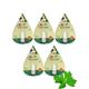 So Sweet 100% Natural 0% Calories Sweetener Stevia Liquid (Pack of 5) 500 Drops 25 ml - Sugar Substitute
