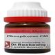 Dr. Reckeweg Phosphorus CM Liquid 11 ml - Dilutions
