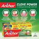 Anchor Clove Power Toothpaste - Super Saver Pack - Toothpaste