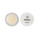 Body Cafe Mango Lip Balm 10 gm - Lip Balms
