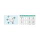 Bambo Nature Baby Diapers - Midi 198's - Diapers & Wipes