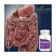 Natures Velvet Probiotics Capsules 30's - Speciality Medicines