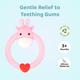 R for Rabbit Giraffe Teether - Pink 1's - Pacifiers & Teethers