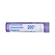 Boiron Chamomilla Vulgaris 200C Multi Dose PELLETS 4 GM - Triturations (Homeo Tablets)