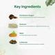 Dr. Vaidya's PCOS Care Capsule (Pack of 2 x 30's) - Speciality Medicines