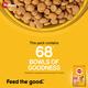 Pedigree Puppy Chicken & Milk 5.5 kg - Petfood