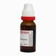 Dr. Reckeweg Abrotanum Ø Liquid 20 ml - Mother Tincture