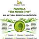 Organic Veda Moringa Leaf Powder 454 gm - Pure Herbs