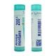 Boiron Arnica Montana 200C Multi Dose PELLETS 4 GM - Speciality Medicine