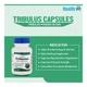 HealthVit Tribulus 250 mg Capsule 60's - Sexual Care