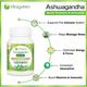 VitaGreen Ashwagandha Capsules 60's - Sexual Care