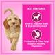 Let's Bite Active Adult Dry Dog Food with Real Chicken Egg Chicken Liver (Extra Free 1Kg) 10 kg - Petfood