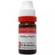 Dr. Reckeweg Pothos Foetidus 6 Liquid 11 ml - Dilutions