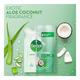 Dettol Foaming Handwash - Aloe Coconut (Refill) 200 ml - Hand Wash & Soaps