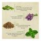 Bioayurveda Basics Youth Sport Anti-Fungal Foot Creme 20 gm - Foot Creams & Lotions