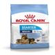 Royal Canin Maxi Starter Mother & BabyDog Dry Dog Food - (Adult Weight 26-44) 15 kg - Petfood