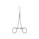 B Positive Allis Tissue Forcep (6 inch) 1's - Scissors - S