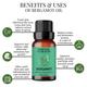Essentia Extracts Pure Essential Oil - Bergamot 15 ml - Essential Oils