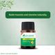 Dr. Vaidya's Herbobuild Capsule (Pack of 3 x 50's) - Health Products