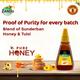 Zandu Pure Honey Squ-Easy (Pack of 2 x 225 gm) - Honey