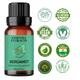 Essentia Extracts Pure Essential Oil - Bergamot 15 ml - Essential Oils