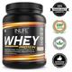 Inlife Whey Protein Powder - Cafe Mocha 400 gm - Whey Proteins