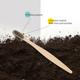 Awenest Bamboo Toothbrush (Pack of 3) - Toothbrushes